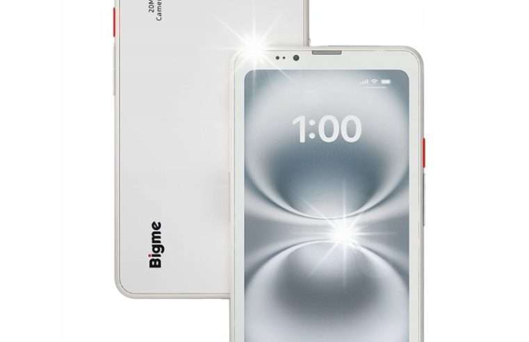 Електронен четец Bigme HiBreak PRO 2 в 1, 6,13″, 8GB RAM, 256GB, черно-бял