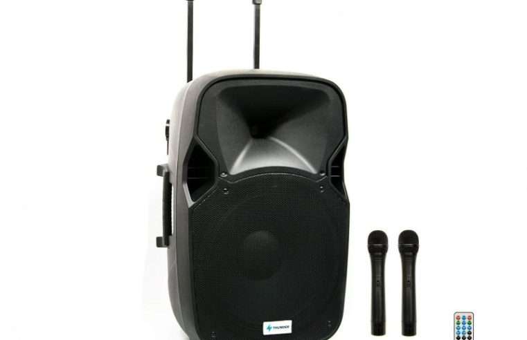 Thunder ACCU-15 (15″) 800W акумулаторна преносима тонколона (2xМик + MP3 +TWS Bluetooth + FM)